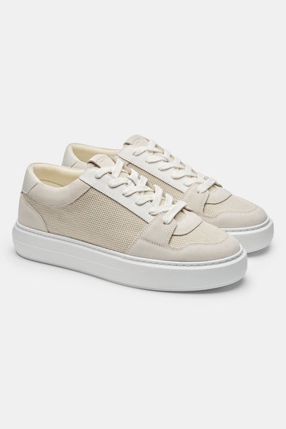KOE | The Pavio Trainer